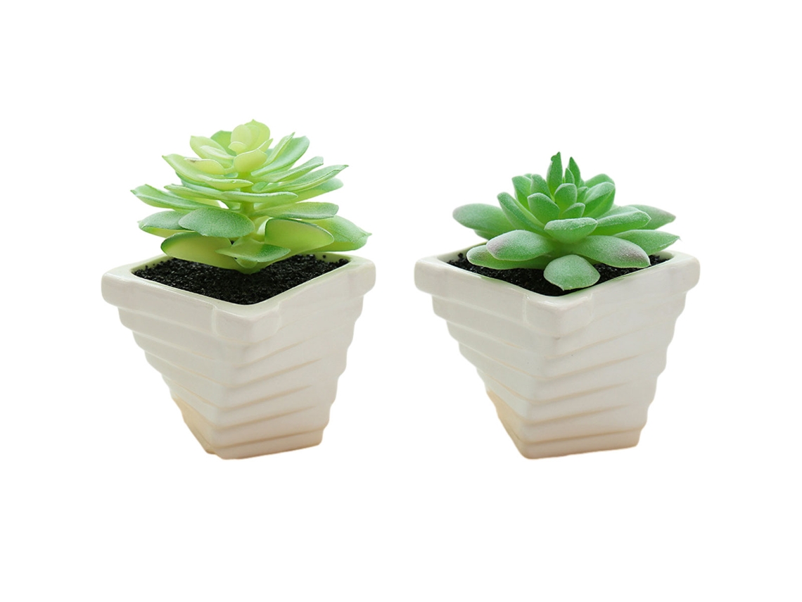 2Pcs Plantas Suculentas em Vaso Criativas Pequenos Ornamentos NEVEANCE