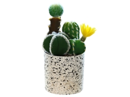 Flor Falsa de Cacto Tropical Bonsai Decoração Criativa Planta Verde RNEMITERY