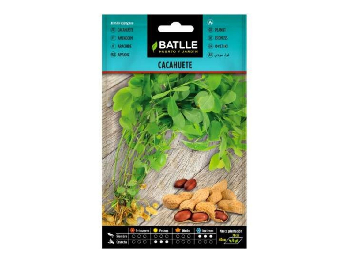 Sementes de Amendoim BATLLE