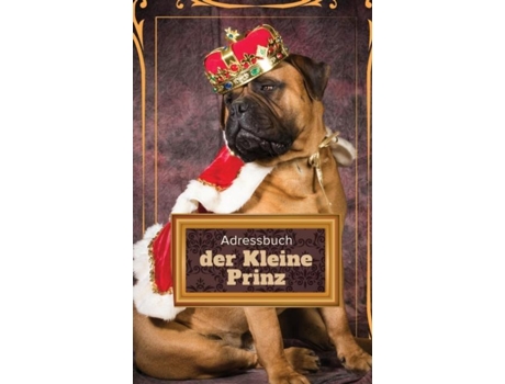 Livro Adressbuch Der Kleine Prinz De Journals R Us (inglês)