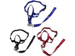 Arnés de Cabeza Acolchado para Perro, para Detener Tirones, Talla M, 3 Piezas S/MARCA