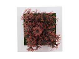 Quadro Decorativo Parede Planta Simulada 3d