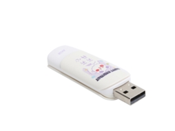 Pen Drive 64gb LAXISCREED Usb 2.0