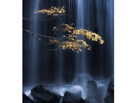 Fotomural SANDERS & SANDERS (3,6 x 2,7 m - Tecido - Multicor)