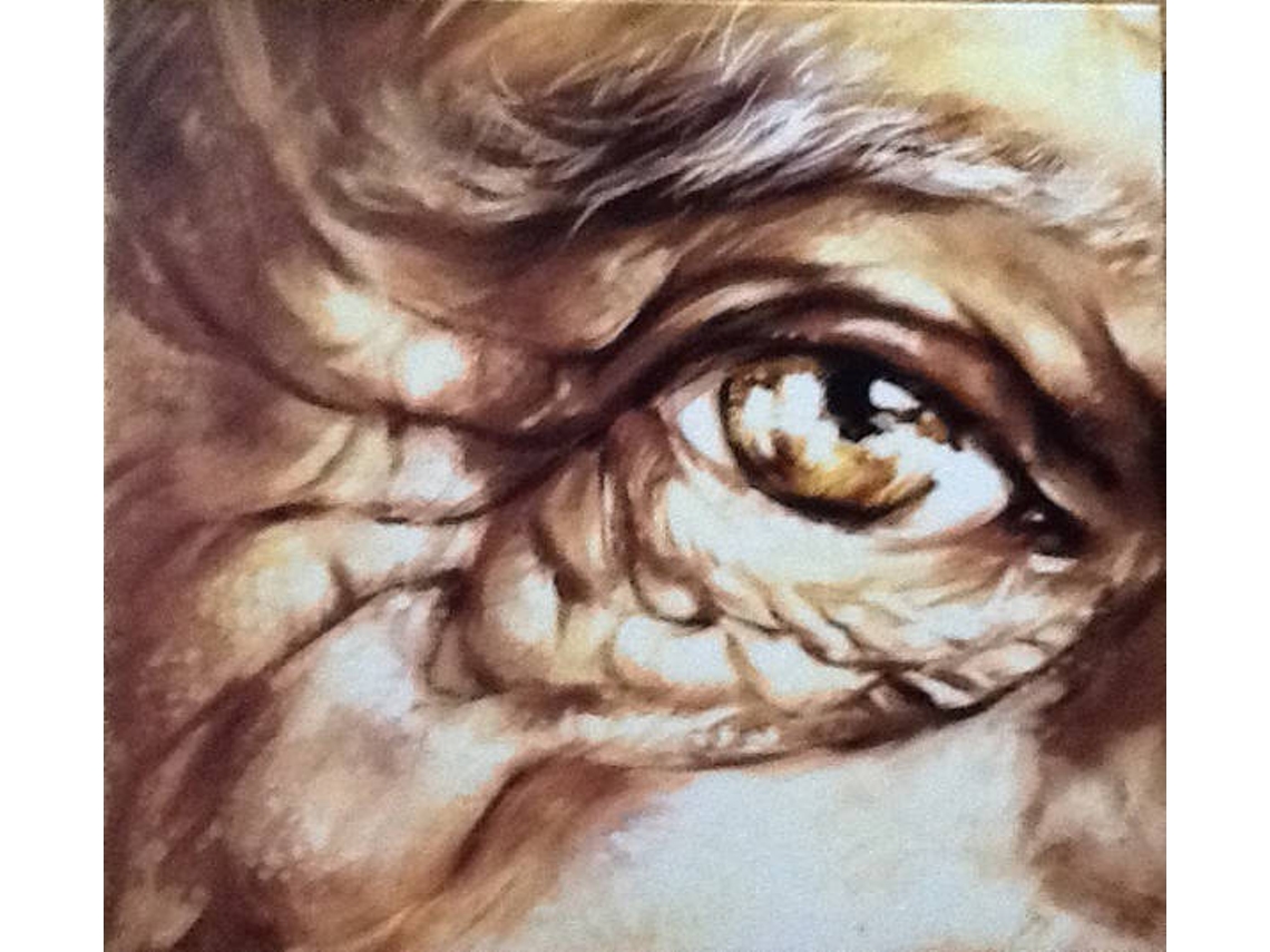 CD The Willows  - Beneath Our Humble Soil