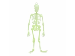 Decoração para Halloween Esqueleto Fluorescente BIGBUY