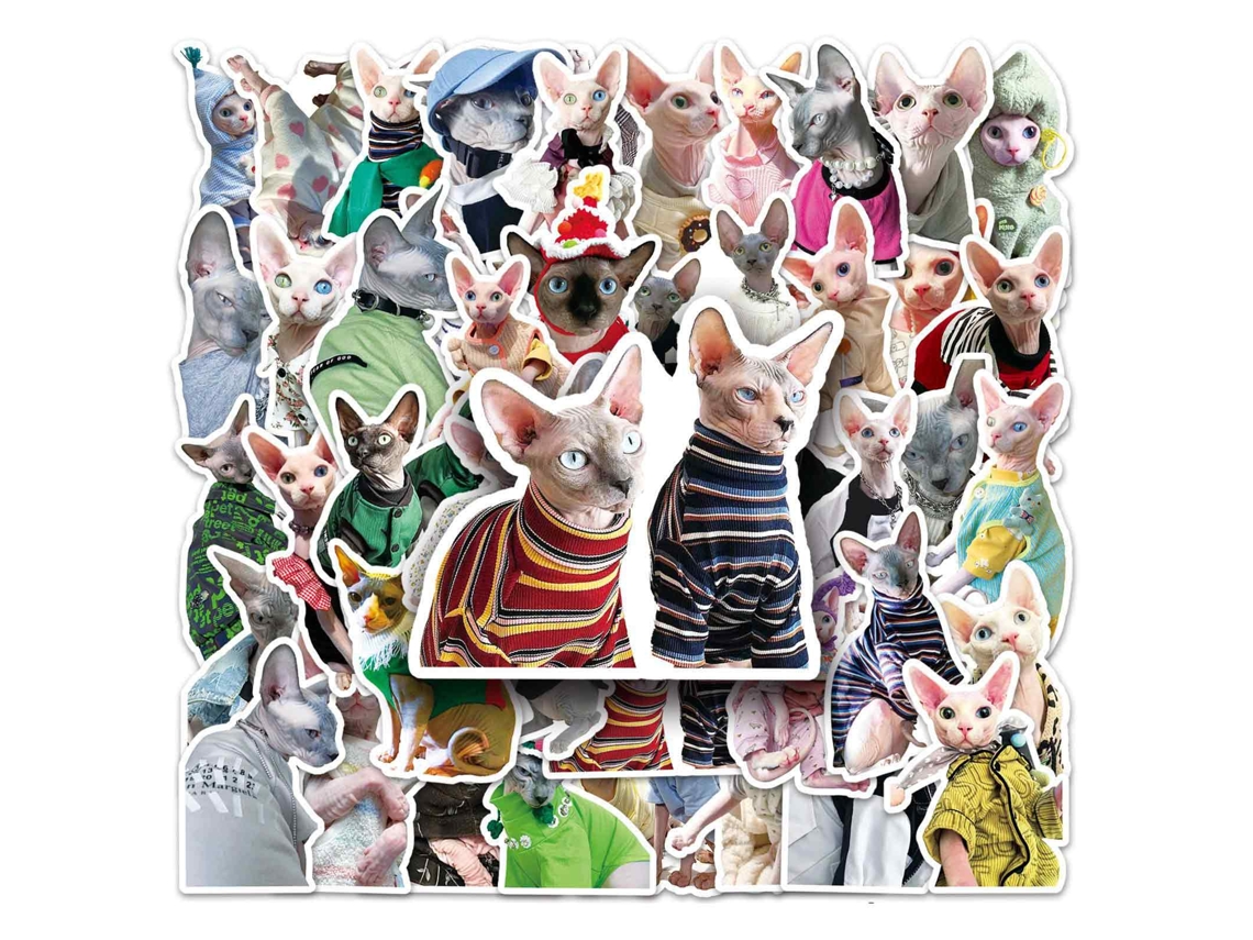 50 Pcs Vinil Atestésico Sfinx Esfises Esfises Adesivos Ideal Para Laptops, Carros, Scrapbooks, Telefones, Skates, Malas, Bagagem E Bicicletas Deca