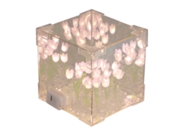 Luz De Noite Tulipa 2 Em 1 Cubo Espelho Led Decorativa Diy Presente Aniversário Roxo