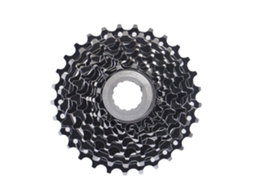 Cassete de 10 velocidades XLC FW-C03 P/Campagnolo
