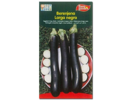 Semillas fito horticolas berenjena larga negra 00013 (caja 10 unidades)