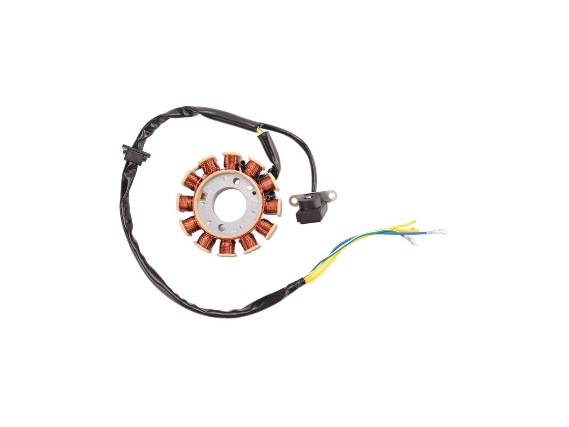 Bobine do Estator de 12 Polos Estator de Ignição para Motos Gy6 125cc e 150cc