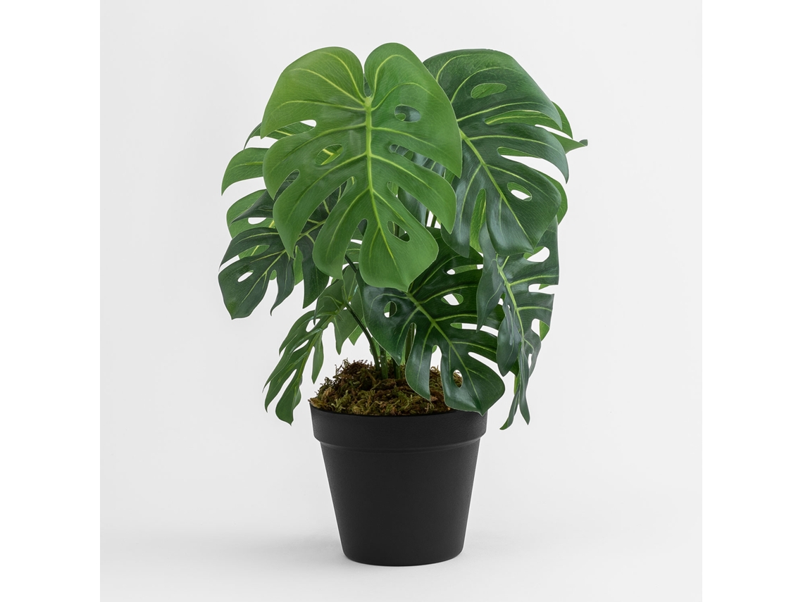 Sklum Planta Artificial Decorativa ↑35 Cm Monstera Peva          ↑35 Cm