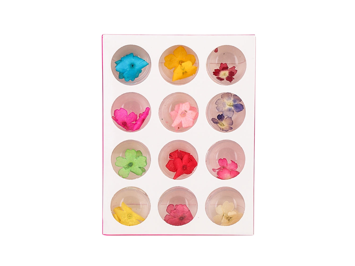 12 Cores Flores Secas Naturais Para Decoração De Unhas Artísticas Uv Gel Diy Estojo De Design