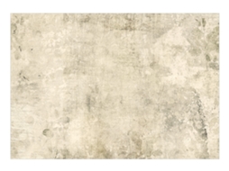 Papel de Parede ARTGEIST Beige Tale - Third Variant (294x210)