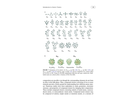 Livro Nanoclusters: A Bridge across Disciplines de Purusottam Jena (Inglês)