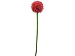 Planta Artificial EUROPALMS Allium (Verde - 55 cm)