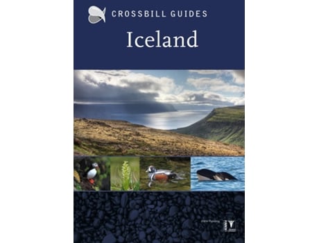 Livro Iceland de Andy Jones (Inglês)