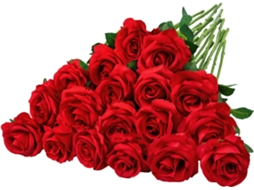 20 Rosas Vermelhas Artificiais com Hastes Longas para Decoração de Dia Dos Namorados, Casamentos AQUAFORGE