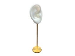 Porta Pendientes, Modelo de Oreja Humana para Pendientes Con Base Redonda, Almacenamiento de Joyería, Blanco