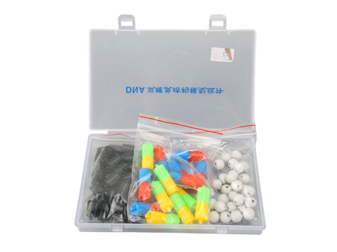 Modelo De Hélice Doble De Adn Kit Educativo Para Ensamblaje Ciencia Biológica Didáctico Juguete
