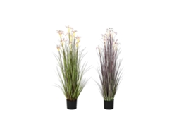 Planta Decorativa DKD HOME DECOR (Multicor)