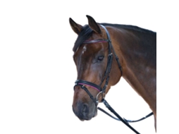 Refrear Diamant Castanho Mini Shetlandstar