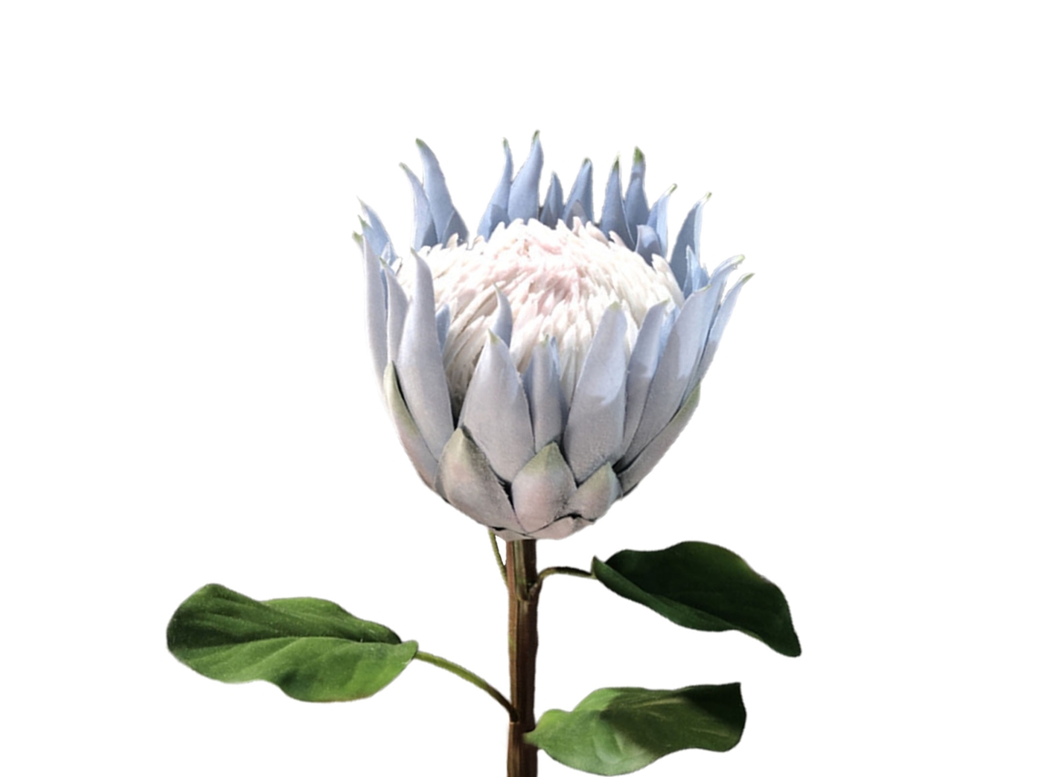 Flor Artificial Protea de Seda para Decoração Casa Jardim | S/MARCA