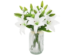 Pacote Com 6 Lírios Artificiais Brancos, Flores Artificiais De Plástico, Lírios Artificiais Toque Realista Para Casa E Casamento E Festa, Brancos