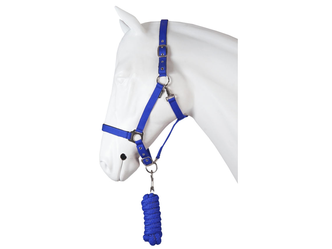 Conjunto de Cabresto para Cavalos de Dez Centavos HORKA
