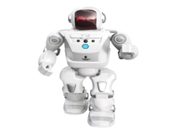 Program A Bot YCOO (Idade Mínima Recomendada: ‍5 Anos)