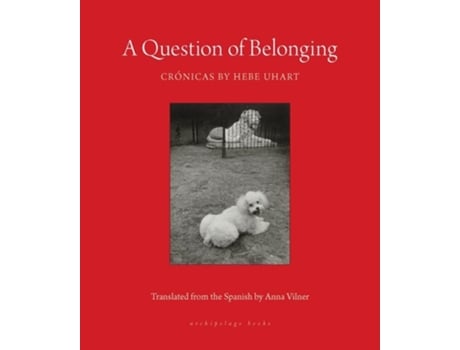 Livro A Question Of Belonging De Hebe Uhart (inglês)