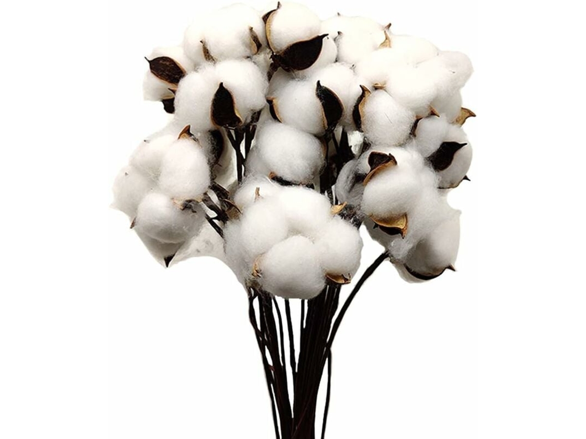 30 Bolas de Algodão Seco na Cor Natural, Brancas, com Palito, Perfeitas para Guirlandas e Decoração Rústica BRILVIBERA