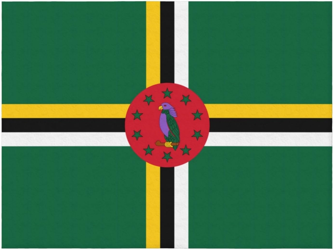 Manta de Flanela Ultramacia Phayah para Sofá Cama Sala Estar Escritório Pausa Almoço com Estampa da Bandeira C