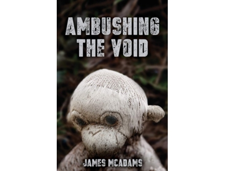 Livro Ambushing The Void De James Mcadams (inglês)