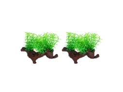 2 Plantas Decorativas Aquário LAXISCREED