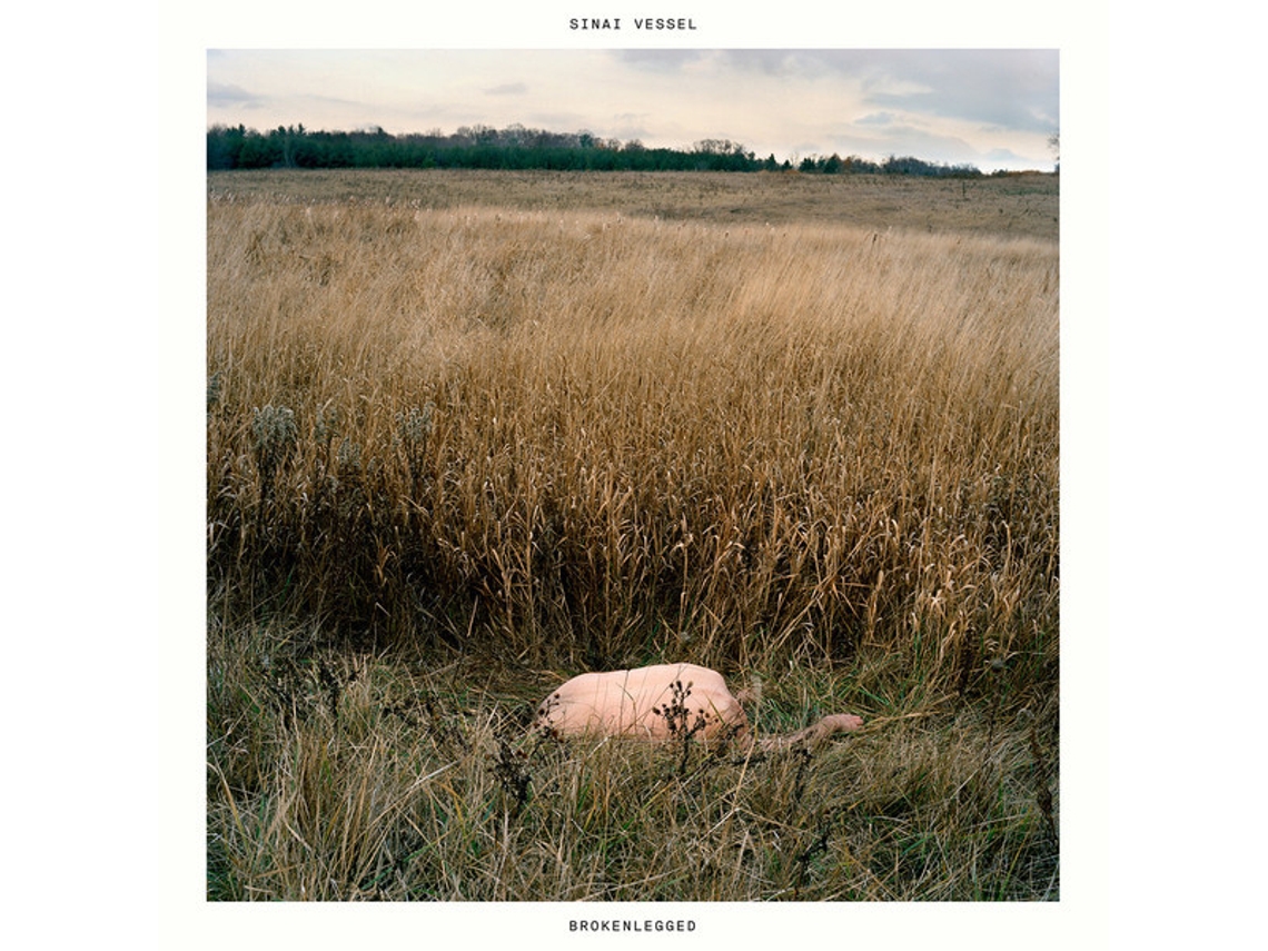 Vinil Sinai Vessel - Brokenlegged