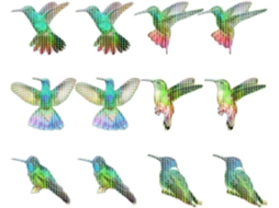Lote Com 12 Adesivos Magnéticos Anticolisão Com Pássaros Iridescentes, Película Adesiva Decorativa Para Janelas.