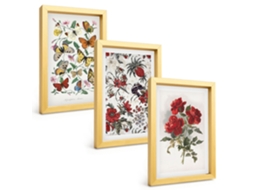 Conjunto De Pinturasborboletas, Flores, Rosas Vermelhas Moldura Dourada Quadros Para A Sala De Estar Espelharte (3 Peças 20x30 Cm)