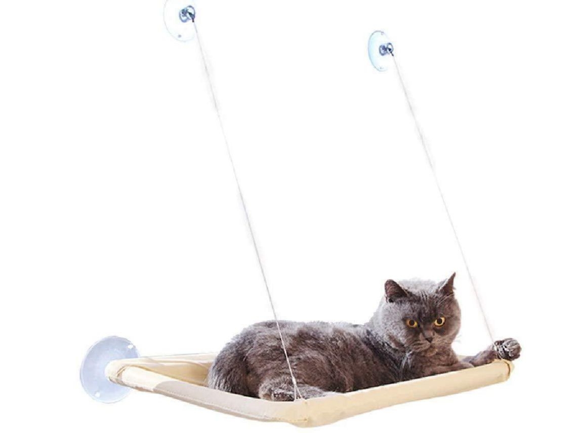 Jamón De Gato