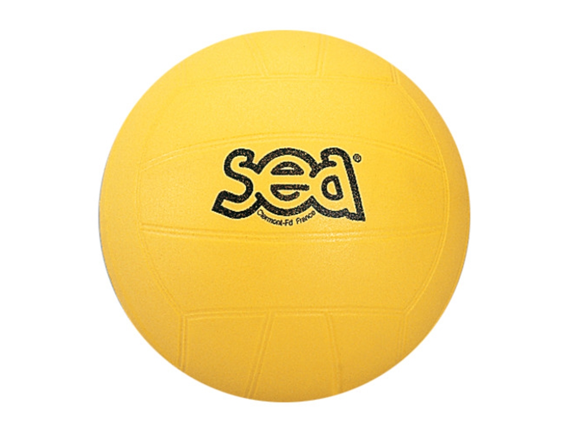 Bola de Voleibol SPORTI FRANCE Multicor (Tu)