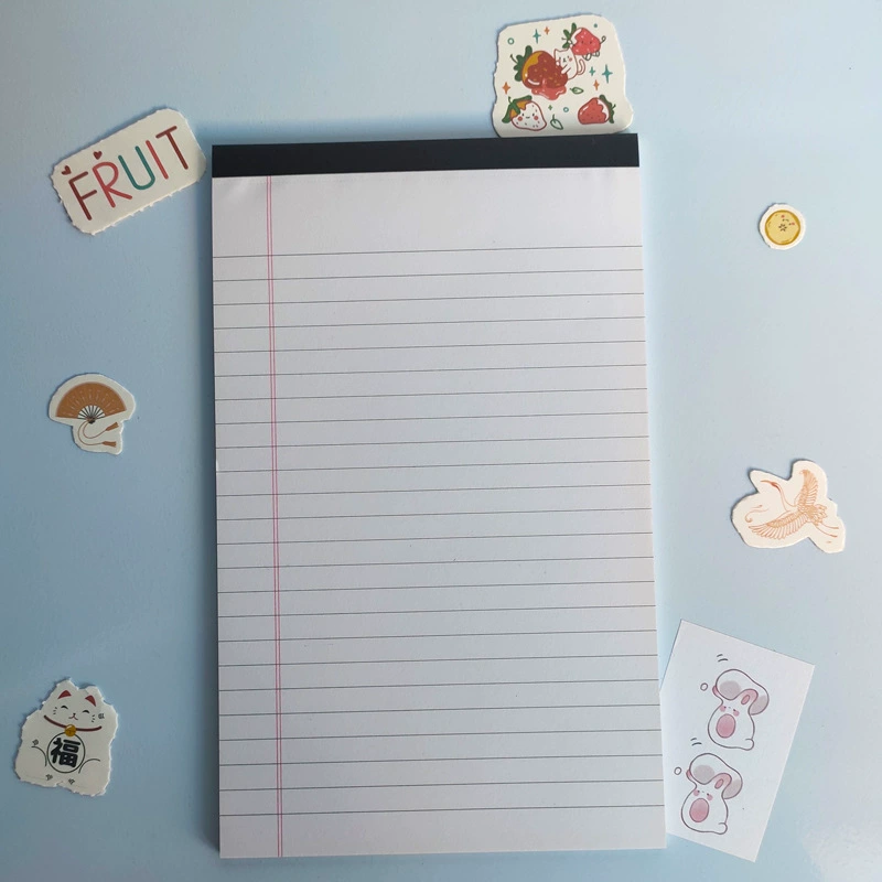 Blocos De Notas Pautados, 50 Folhas Por Bloco, Pacote Com 12, 12,7 Cm X 20,3 Cm, Branco Brilvibera