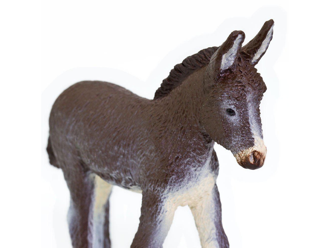 SAFARI Donkey Foal