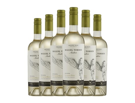 Vinho branco MIGUEL TORRES Andica Sauvignon Branca Valle Central (0.75 L - 6 Unidades)