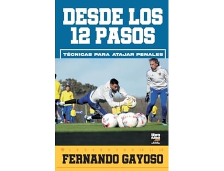 Livro Desde los 12 pasos de Fernando Gayoso (Espanhol)