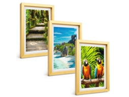 Composição De Quadros Floresta Tropical, Cachoeira, Papagaios Espelharte (3 Peças 20x30 Cm)