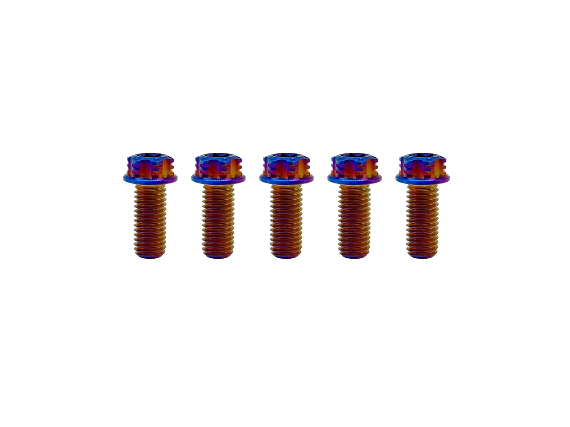 Chaves de fenda de titânio Torx M6*1.0*16 Rison, Com