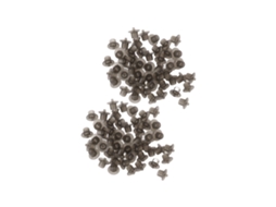 100 Cúpulas de Cria de Rainha de Abelha Plásticas 19x19x16mm S/MARCA