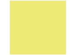 Cartolina CANSON Amarelo (50 x 65 cm - 25 Unidades - 240 g/m²)