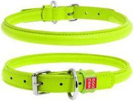 Coleira para Cães  Glamour (Verde - 33-41 x 1 cm - Couro)