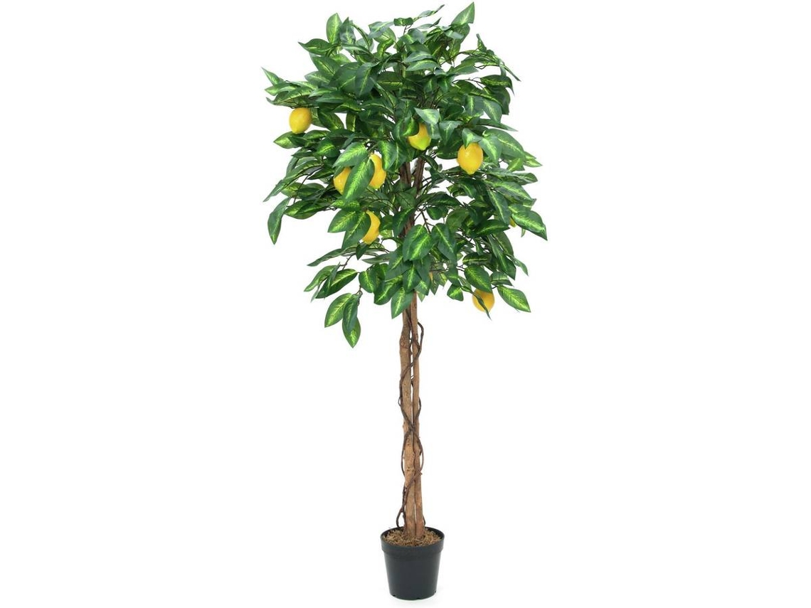 Planta Artificial EUROPALMS Lemon (Verde - 150 cm)